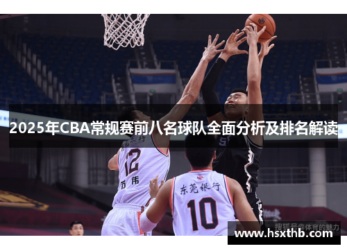 2025年CBA常规赛前八名球队全面分析及排名解读